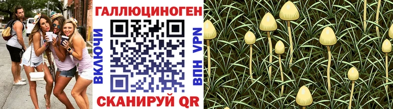 сколько стоит  Камышин  Галлюциногенные грибы прущие грибы 