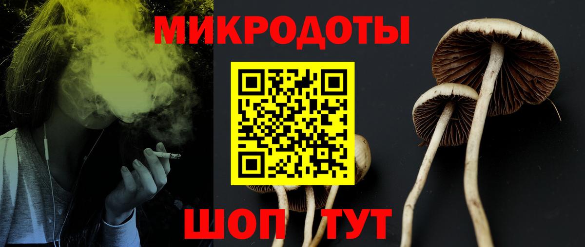 Галлюциногенные грибы мицелий Камышин