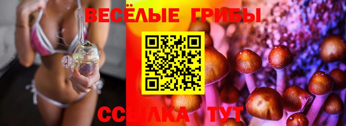 Псилоцибиновые грибы Камышин
